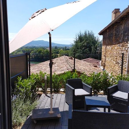 Апартаменты Trevoux: Loft Ravissant Avec Terrasse Экстерьер фото